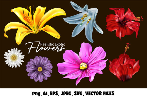 Evaluating the Realistic Exotic 3d Flowers Vector Set for Design Projects